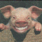 hogflyer's Avatar